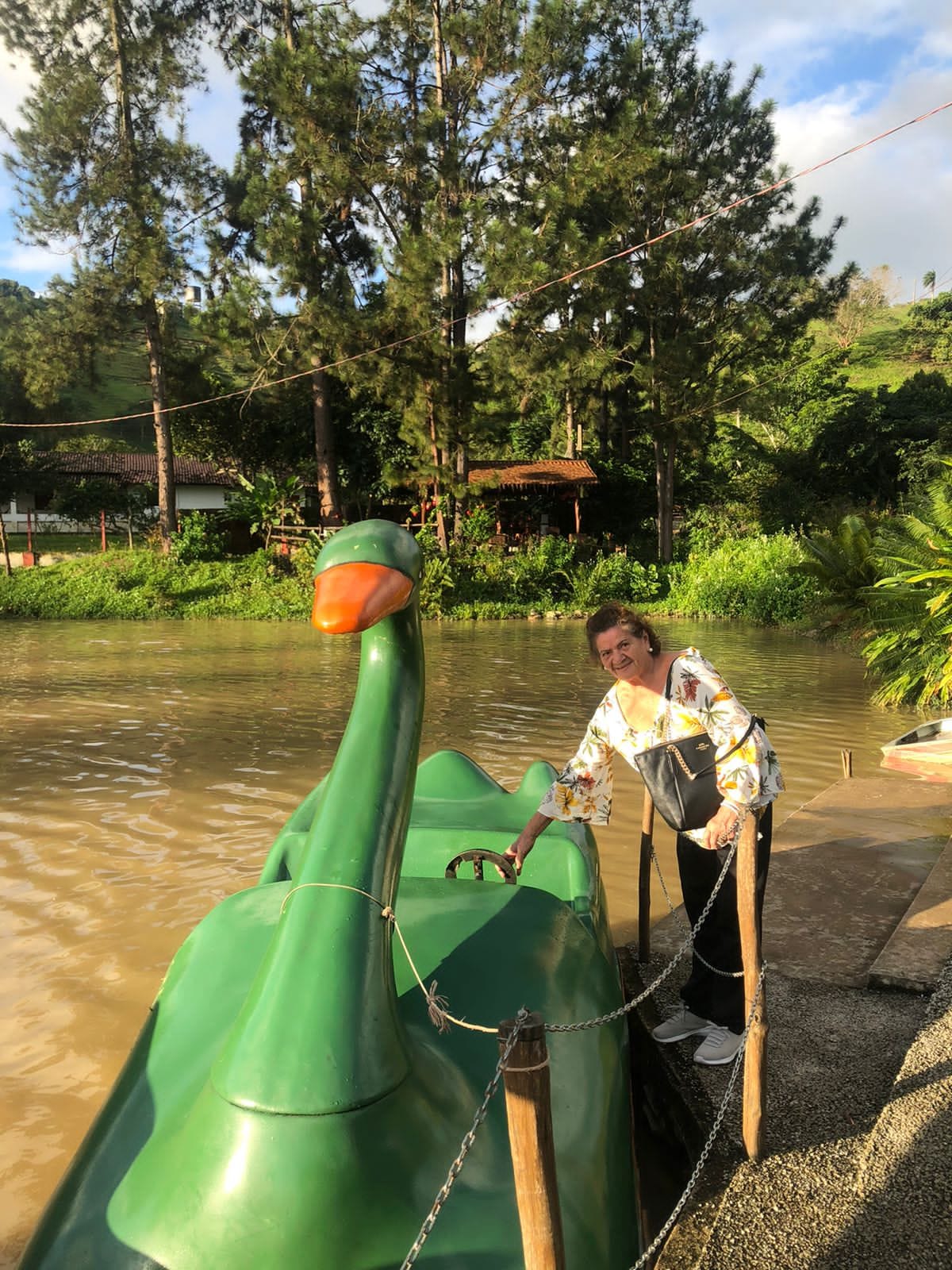 Excursao Areia com bananeiras 3